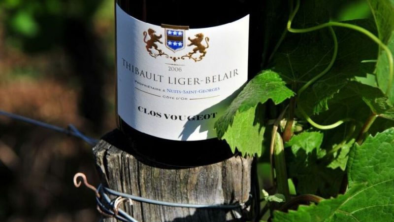 Domaine Thibault Liger-Belair